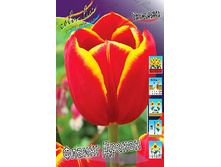 15,46���. ������� ������ ������(�������� ���� �� 10 ��., ����������� ����� 5��.)���16.jpg