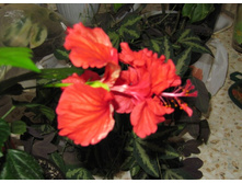 �������� ���� -->