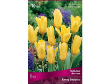 ������� ����� �������.jpg