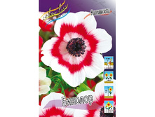 4,41���. ������� �������(���������� ������ ������ ���������� �� 15 ��.).jpg