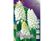 13,23���. ������� ���� ������(���������� ������ ������ ���������� �� 10 ��.).jpg