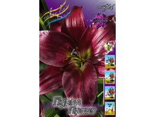 25,04���. ����� ����� �����(�������� ���� �� 7 ��., ����������� ����� 3��.).jpg