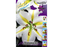 23,46���. ����� �������(�������� ���� �� 7 ��., ����������� ����� 3��.).jpg