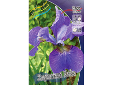 51,9���. ���� ��������� �������� ����(�������� ���� �� 2 ��., ����������� ����� 1��.).jpg