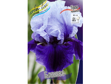 81,8���. ���� ���������� ������(�������� ���� �� 2 ��., ����������� ����� 1��.).jpg