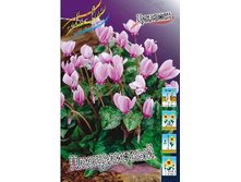 69,1���. �������� ������������(�������� ���� �� 2 ��., ����������� ����� 1��.).jpg