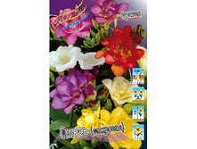 8,77���. ������ �����, ������.(���������� ������ ������ ���������� �� 10 ��.).jpg