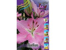 26,66���. ����� �����(�������� ���� �� 5 ��., ����������� ����� 3��.).jpg