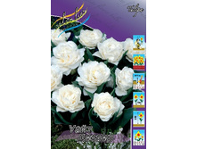 17,68���. ������� ���� ������(�������� ���� �� 10 ��., ����������� ����� 5��.).jpg