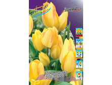 17,68���. ������� ������(�������� ���� �� 10 ��., ����������� ����� 5��.).jpg