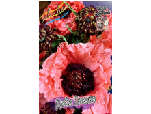 96,75���. ��� ���� �����(�������� ���� �� 2 ��., ����������� ����� 1��.).jpg