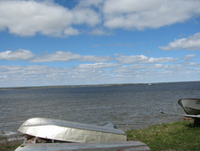 IMG 7268.JPG