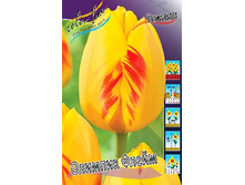 11,74���. ������� ������� �����(���������� ������ ������ ���������� �� 10 ��.).jpg