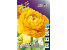 8,77���. ���������� ������(���������� ������ ������ ���������� �� 10 ��.).jpg