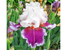 141,6���. ���� ���������� �����(�������� ���� �� 2 ��., ����������� ����� 1��.)���17.jpg