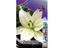 16���. ����� �������(���������� ������ ������ ���������� �� 7 ��.).jpg