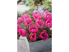 11,74���. ������� �������� ���� ����(���������� ������ ������ ���������� �� 10 ��.)���17.jpg