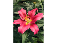 26,64���. ����� �����(�������� ���� �� 7 ��., ����������� ����� 3��.).jpg