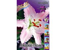 20,29���. ����� ����� ����(�������� ���� �� 7 ��., ����������� ����� 3��.).jpg