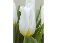 12,48���. ������� ������ ����(���������� ������ ������ ���������� �� 10 ��.)���17.jpg