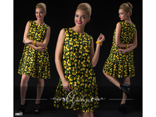 ������ - 10037, 554 ���. (231 ���.)