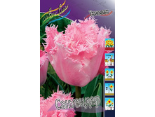 16,94���. ������� ���������(�������� ���� �� 10 ��., ����������� ����� 5��.).jpg