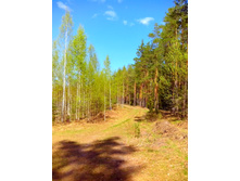 IMG 20170507 135006.jpg