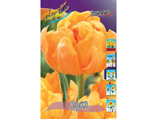 14,71���. ������� ����(���������� ������ ������ ���������� �� 10 ��.).jpg