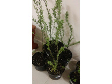 0-02-05-5938075f20ac8dd65ff70515e1e4f2a9edcc999d30f13d6d03a88553d4fbff37 full.jpg