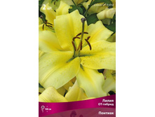 ����� �������.jpg