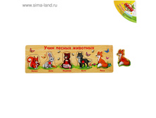 ����� - ������� ���� ������ ��������, 5 ��������� ���.1365049 ���� 80 ���, ���.2 ��.jpg