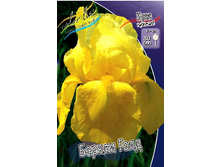 81,8���. ���� ���������� ������ ����(�������� ���� �� 2 ��., ����������� ����� 1��.).jpg