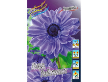 4,11���. ������� ���� ���������(���������� ������ ������ ���������� �� 15 ��.).jpg