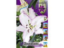 27,92���. ����� ��������(�������� ���� �� 5 ��., ����������� ����� 3��.).jpg