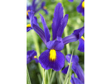 7,58���. ���� ����. ������(���������� ������ ������ ���������� �� 10 ��.).jpg