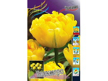 16,94���. ������� ��������(�������� ���� �� 10 ��., ����������� ����� 5��.).jpg