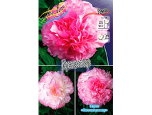 1583,5���. ���� ������(�������� ���� �� 1 ��., ����������� ����� 1��.).jpg