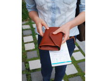 422 ���. - ������� ��������� "LX-2" (����������)