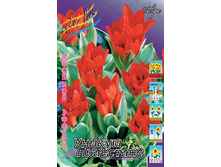 13,97���. ������� ������ ���������(���������� ������ ������ ���������� �� 10 ��.).jpg