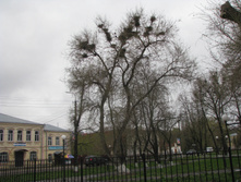 IMG 7364.JPG