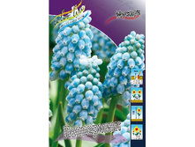 8,03���. ������� ����������(���������� ������ ������ ���������� �� 10 ��.).jpg