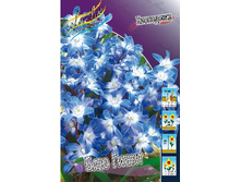 11,59���. ���������� ��� �����(���������� ������ ������ ���������� �� 10 ��.).jpg