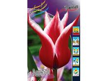 12,48���. ������� �����(���������� ������ ������ ���������� �� 10 ��.).jpg