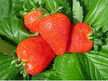 ��������� �����.jpg