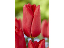 16,94���. ������� ����� �����(�������� ���� �� 10 ��., ����������� ����� 5��.)���17.jpg