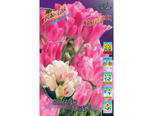 18,43���. ������� ����� ����(�������� ���� �� 10 ��., ����������� ����� 5��.).jpg