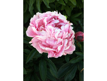 761,5���. ���� �������� �����(���������� ������ ������ ���������� �� 1 ��.)���17.jpg