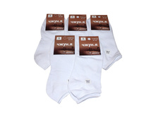 ������� ����� ����� C3012 ����� ������ 15 ���