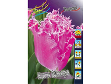 19,17���. ������� ���� �����(�������� ���� �� 10 ��., ����������� ����� 5��.).jpg