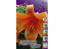 38,56���. ����� ������� ����(�������� ���� �� 5 ��., ����������� ����� 3��.).jpg